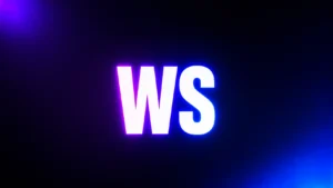 .ws Meaning Explained: What Does “.ws” Mean and Why Do People Keep Seeing It Online?